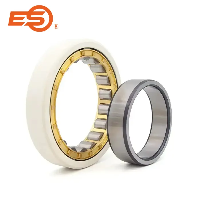 Electrically Insulated Bearings